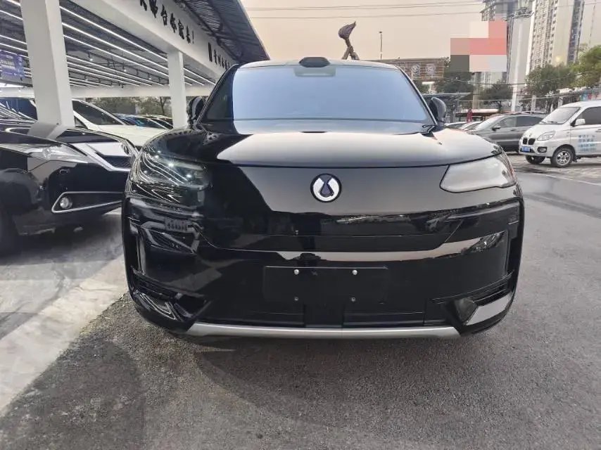 2025 DENZA DENZAN9 thumbnail 2