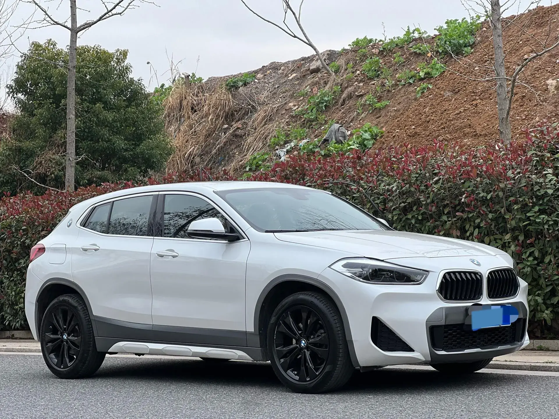 2020 BMW X2 thumbnail 3
