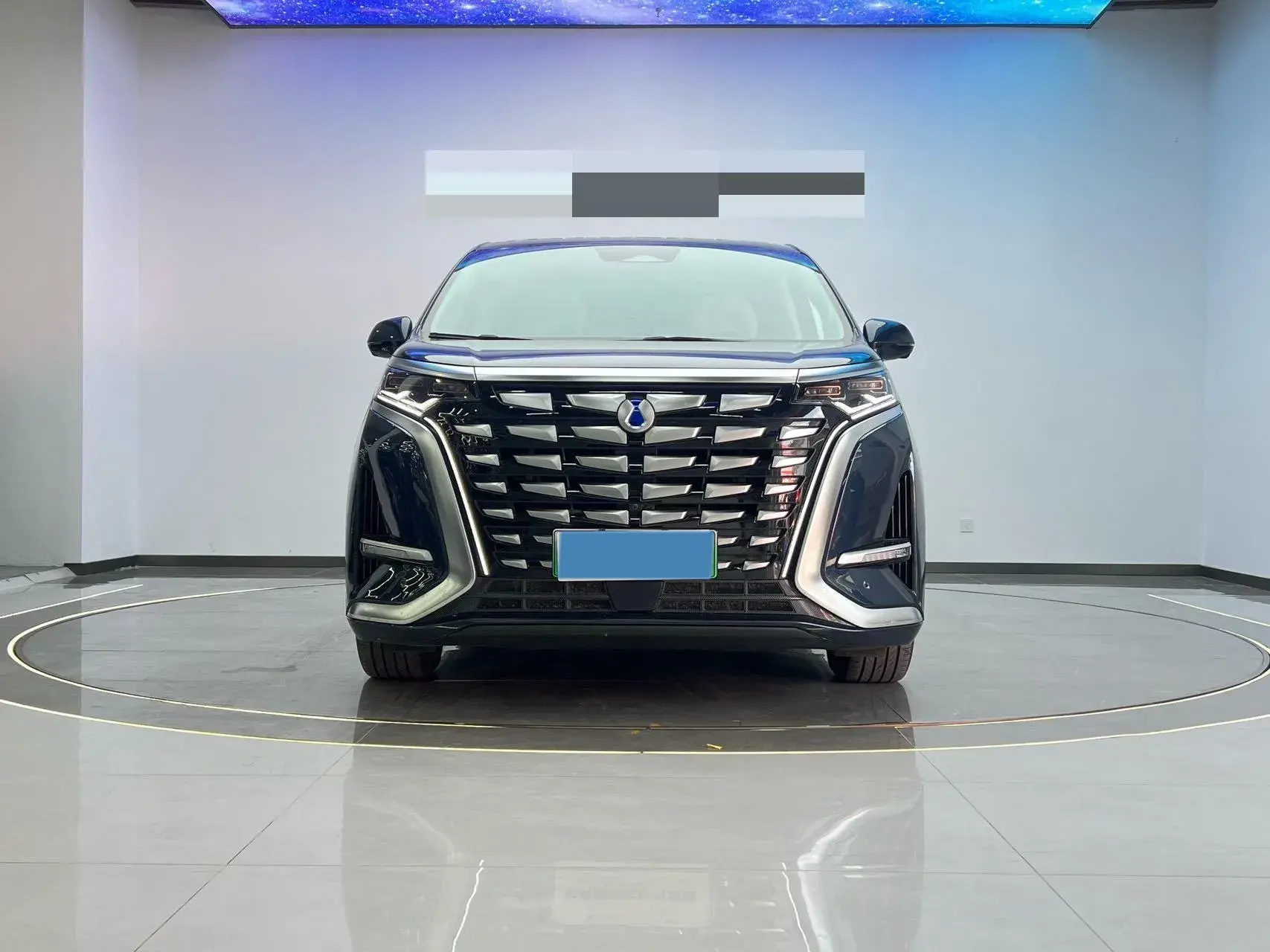 2022 DENZA D9 thumbnail 2