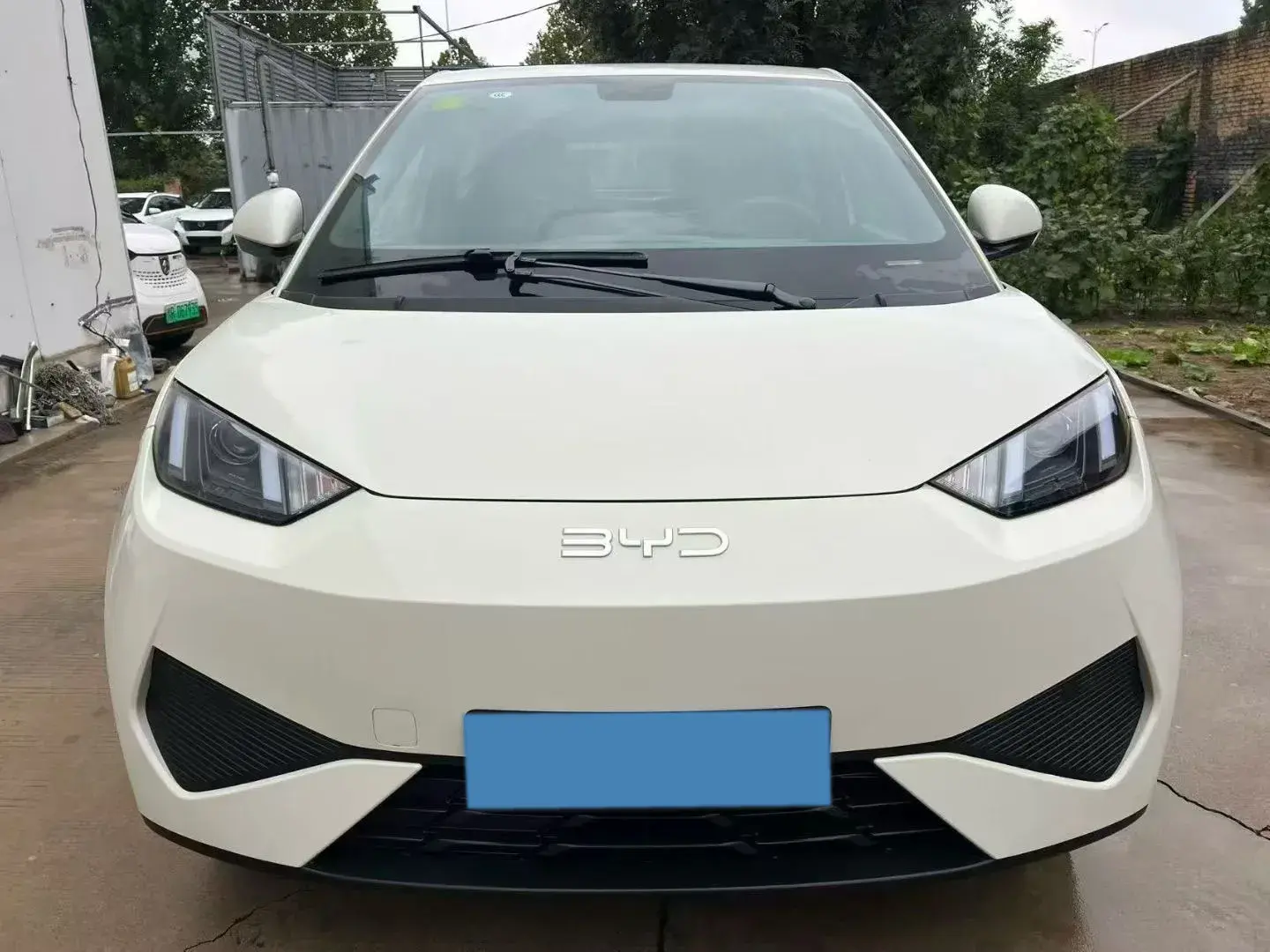 2025 BYD SEAGULL thumbnail 2