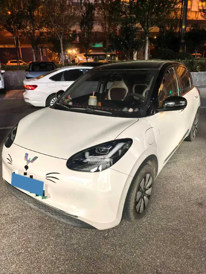 2023 WuLing BinGuo BEV 31.9KWH