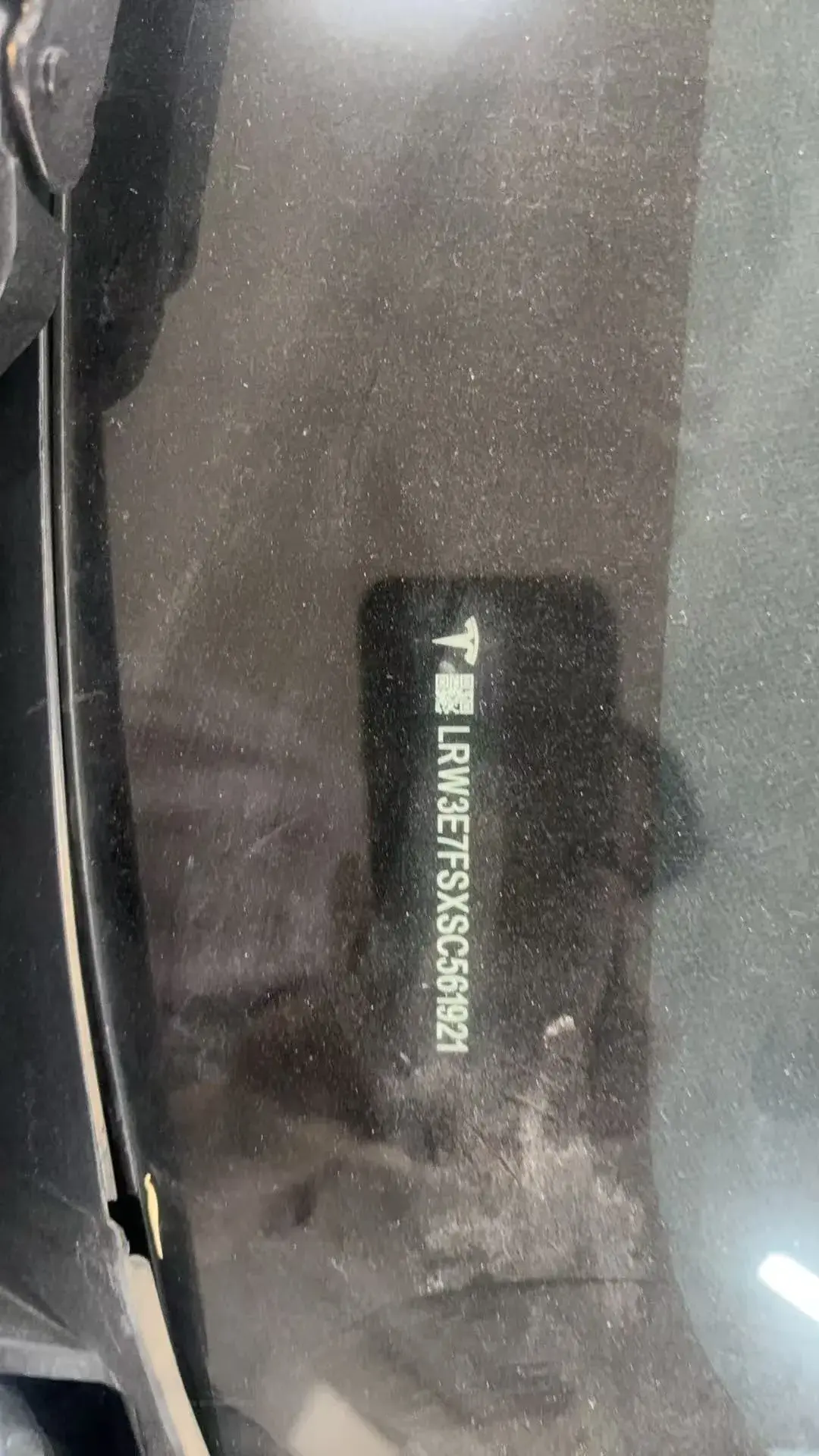 2025 TESLA MODEL thumbnail 4