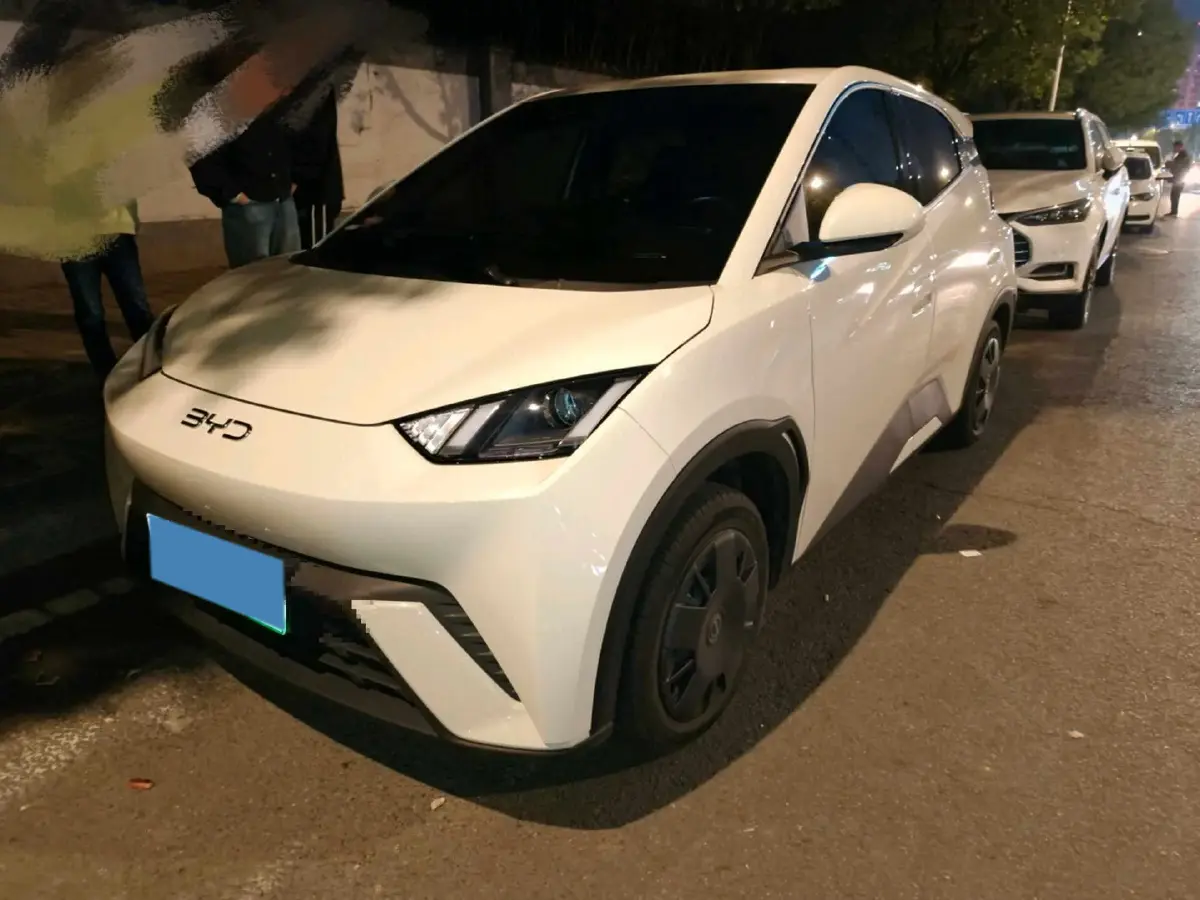 2024 BYD Seagull BEV 30.08KWH