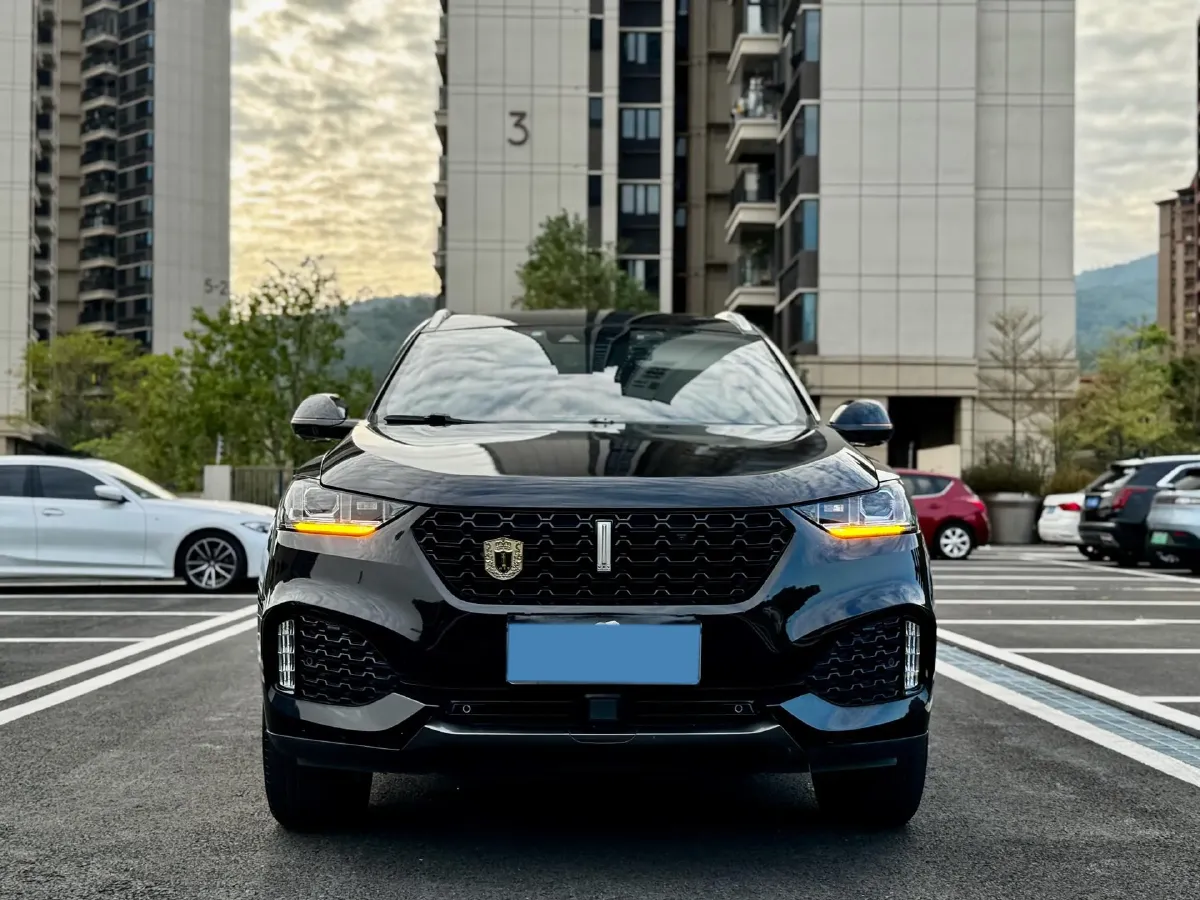 2018 WEY VV6 2.0T 197HP L4 7DCT,autocango,china used car exporter,china ev exporter,chinese used car exporter,chinese used ev exporter