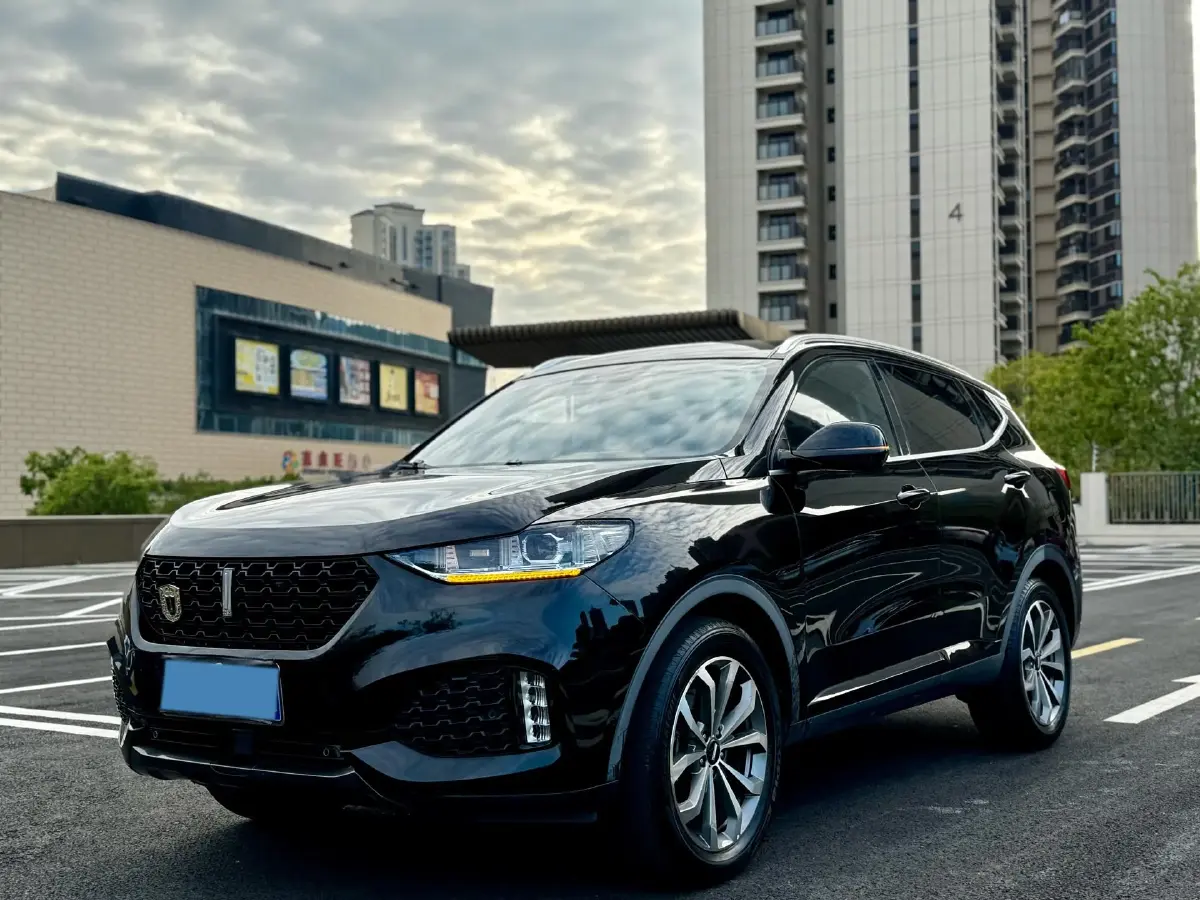 2018 WEY VV6 2.0T 197HP L4 7DCT