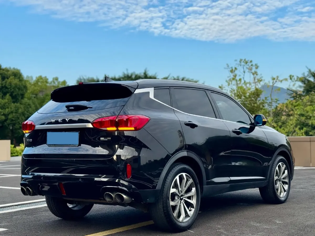 2018 WEY VV6 2.0T 197HP L4 7DCT,autocango,china used car exporter,china ev exporter,chinese used car exporter,chinese used ev exporter