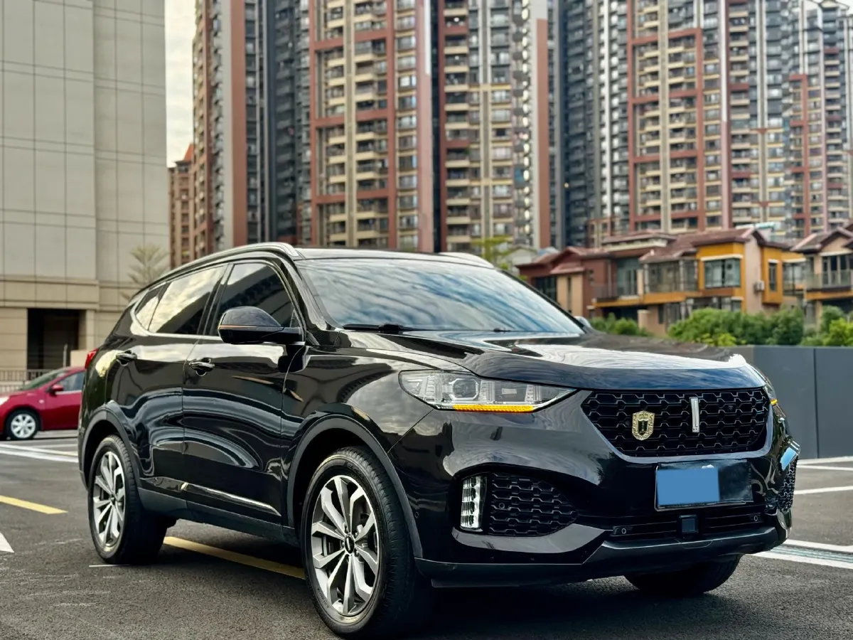 2018 WEY VV6 2.0T 197HP L4 7DCT,autocango,china used car exporter,china ev exporter,chinese used car exporter,chinese used ev exporter