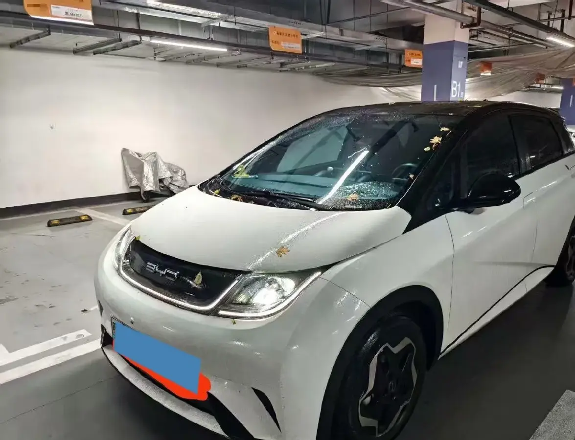 2021 BYD Dolphin BEV 44.9KWH