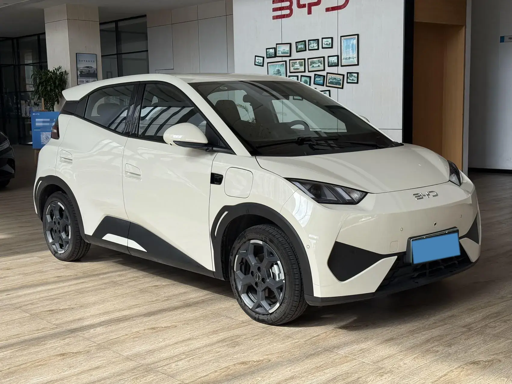 2025 BYD SEAGULL thumbnail 3