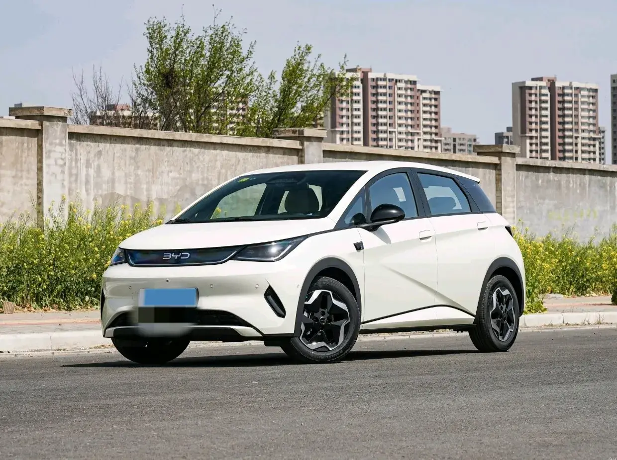 2025 BYD DOLPHIN view 1
