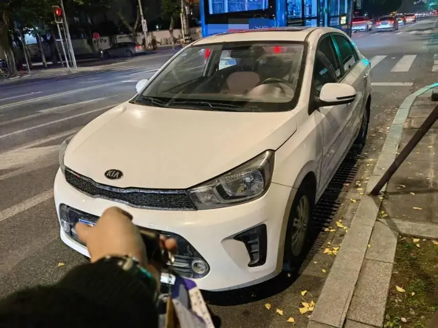 2017 KIA PEGAS view 1