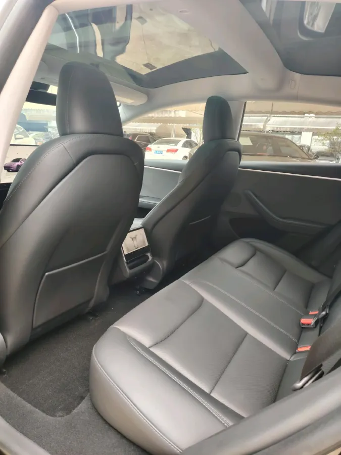 2023 Tesla Model 3 BEV 60KWH,autocango,china used car exporter,china ev exporter,chinese used car exporter,chinese used ev exporter