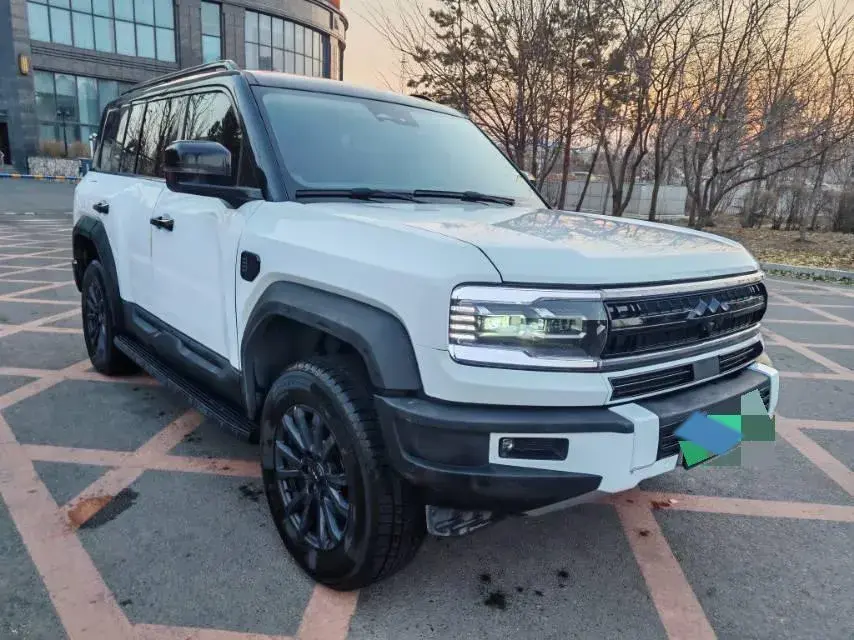 2024 FANGCHENGBAO BAO thumbnail 3