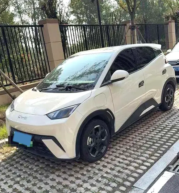 2024 BYD SEAGULL view 1