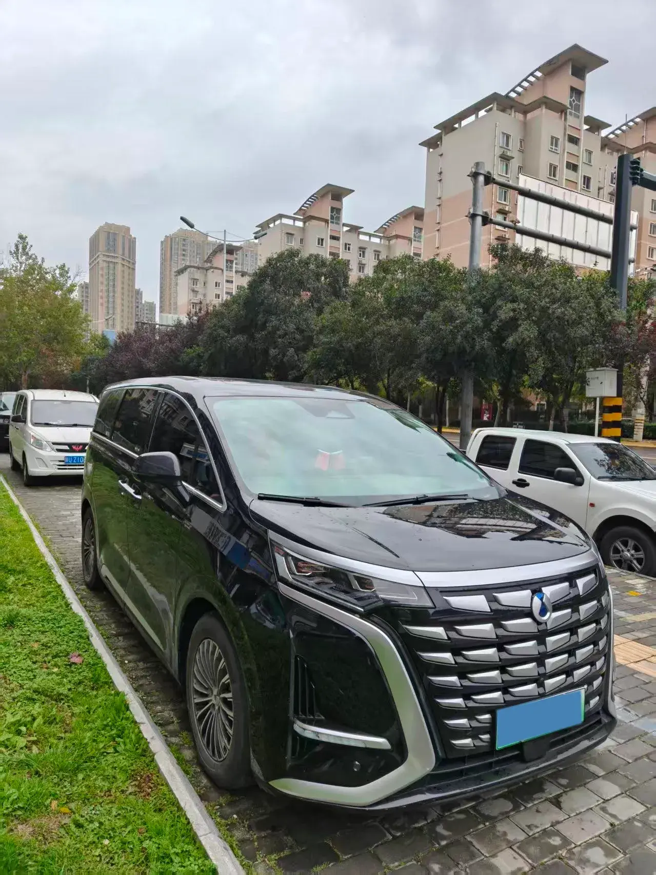 2022 DENZA D9 thumbnail 2