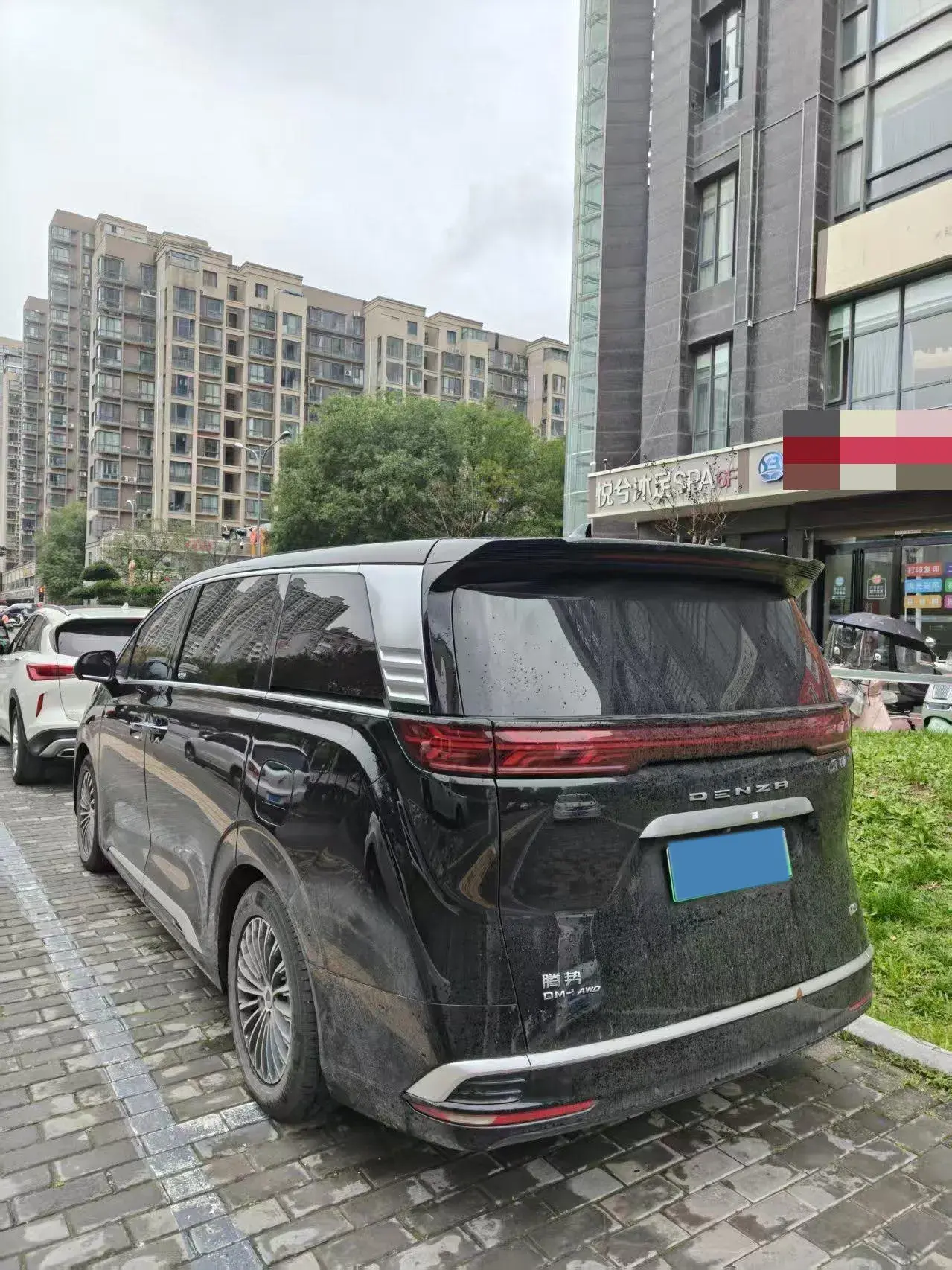 2022 DENZA D9 thumbnail 4