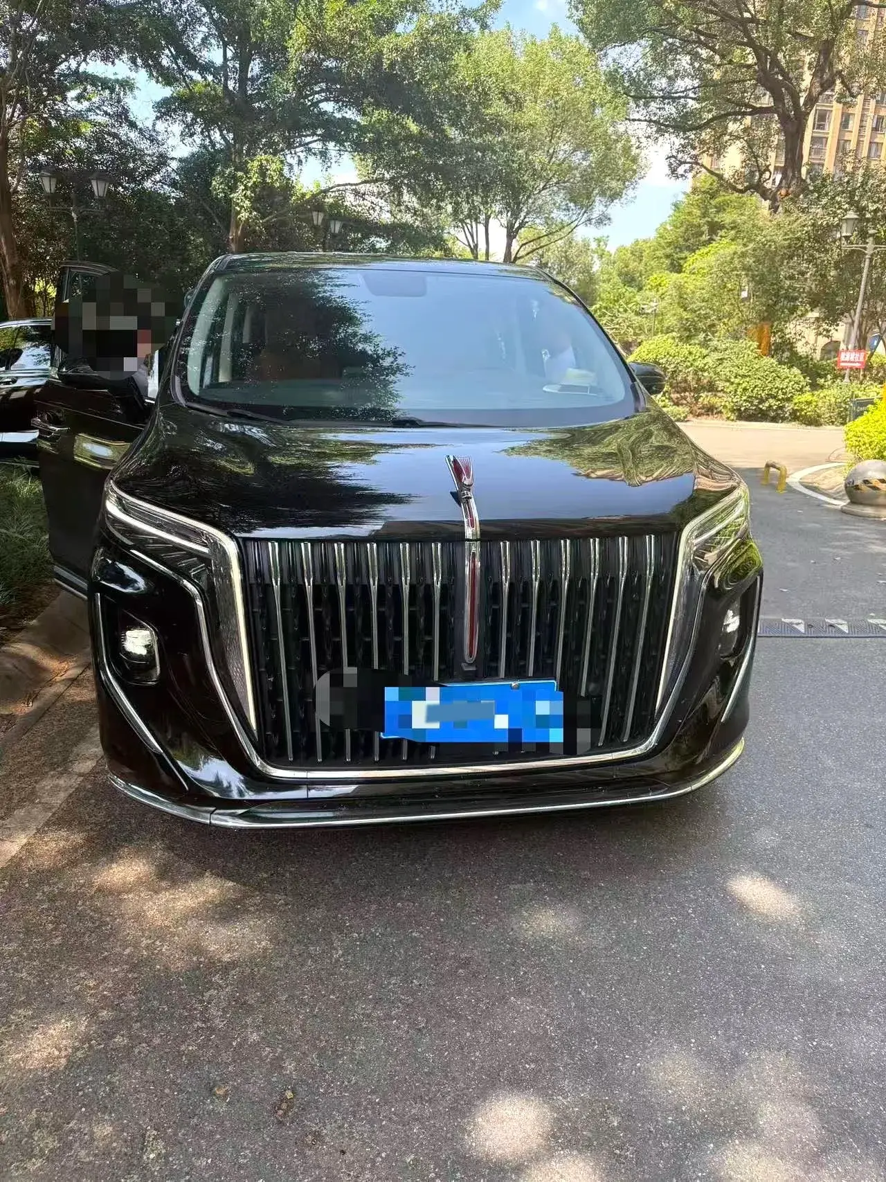 2023 HONGQI HQ9 thumbnail 2