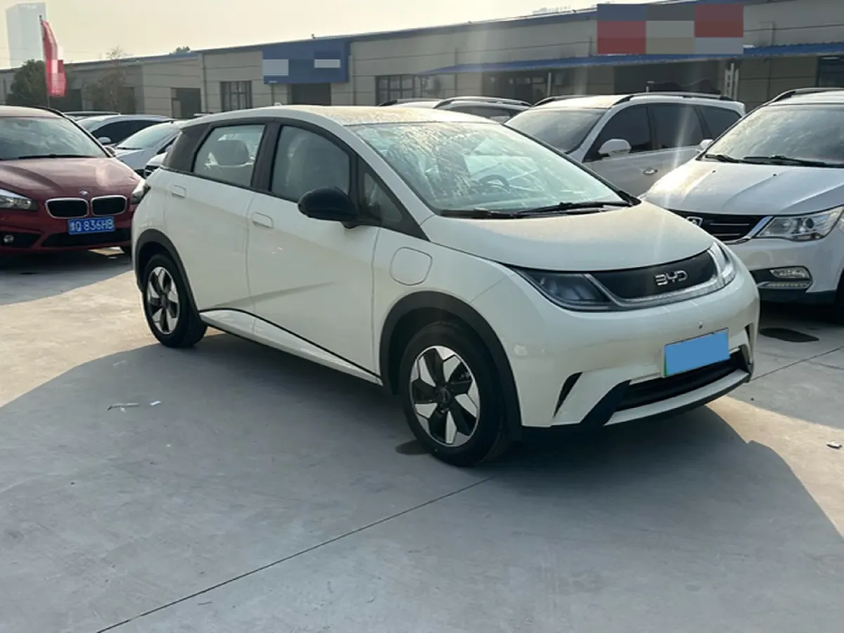 2025 BYD Dolphin BEV 44.928KWH,autocango,china used car exporter,china ev exporter,chinese used car exporter,chinese used ev exporter