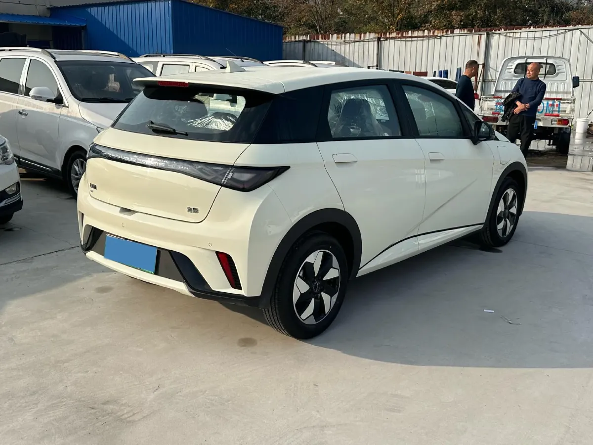 2025 BYD Dolphin BEV 44.928KWH,autocango,china used car exporter,china ev exporter,chinese used car exporter,chinese used ev exporter