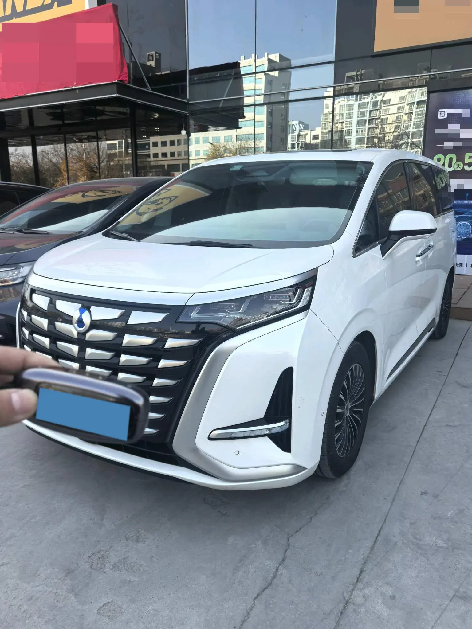 2022 DENZA D9 view 1