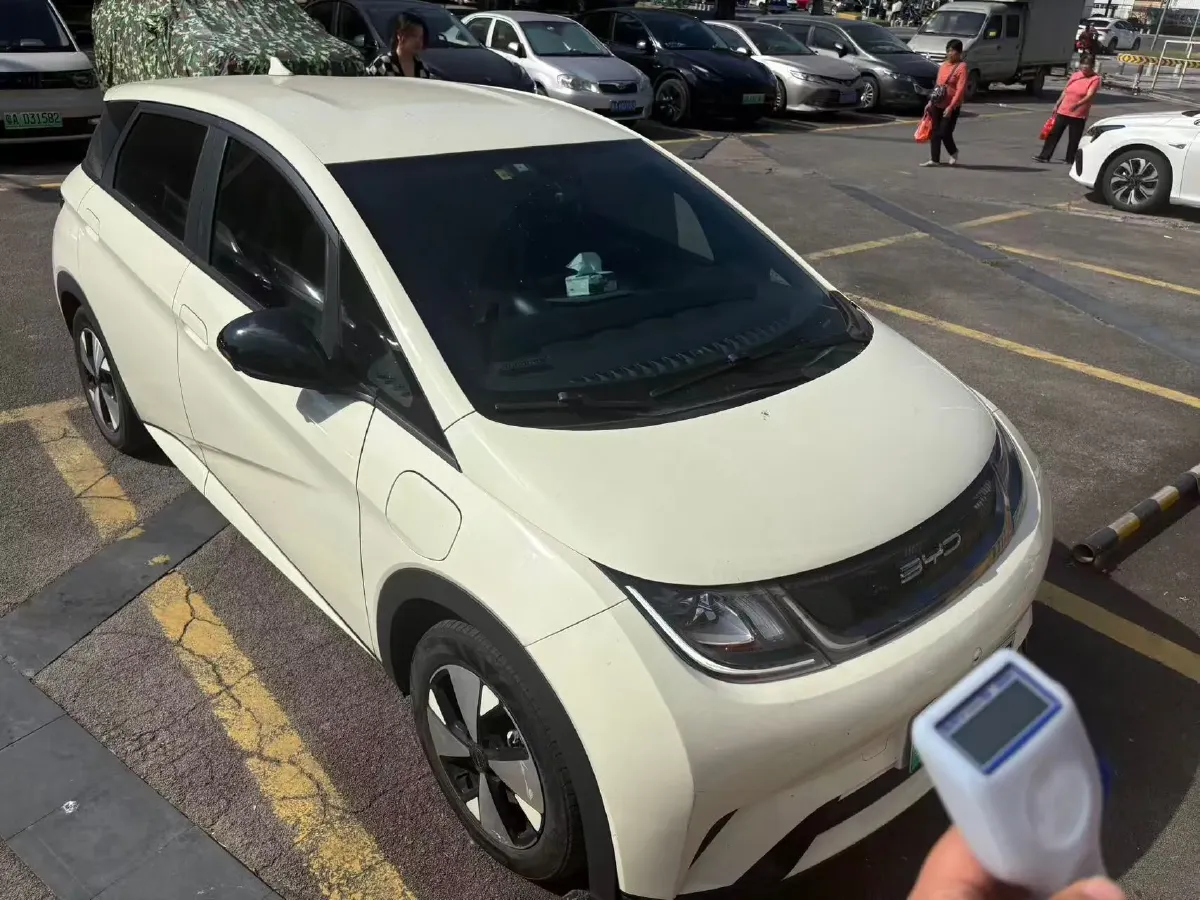 2023 BYD Dolphin BEV 44.928KWH,autocango,china used car exporter,china ev exporter,chinese used car exporter,chinese used ev exporter