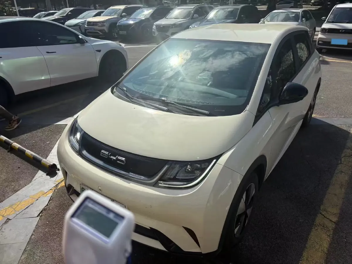 2023 BYD Dolphin BEV 44.928KWH,autocango,china used car exporter,china ev exporter,chinese used car exporter,chinese used ev exporter