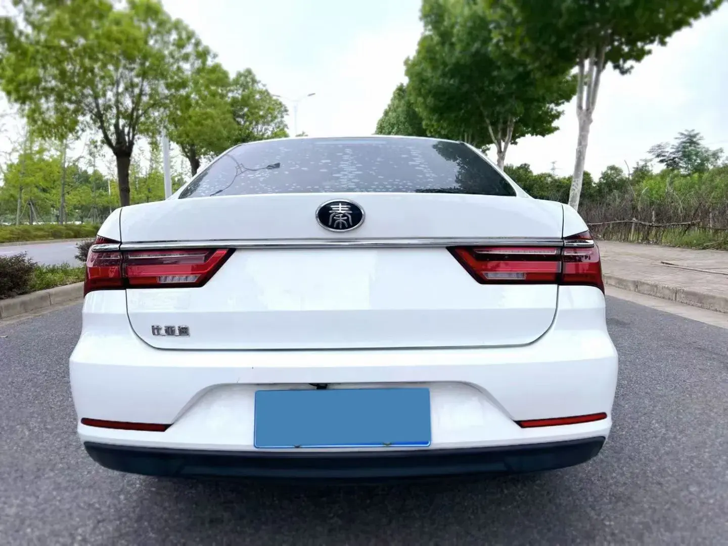 2019 BYD QIN thumbnail 4