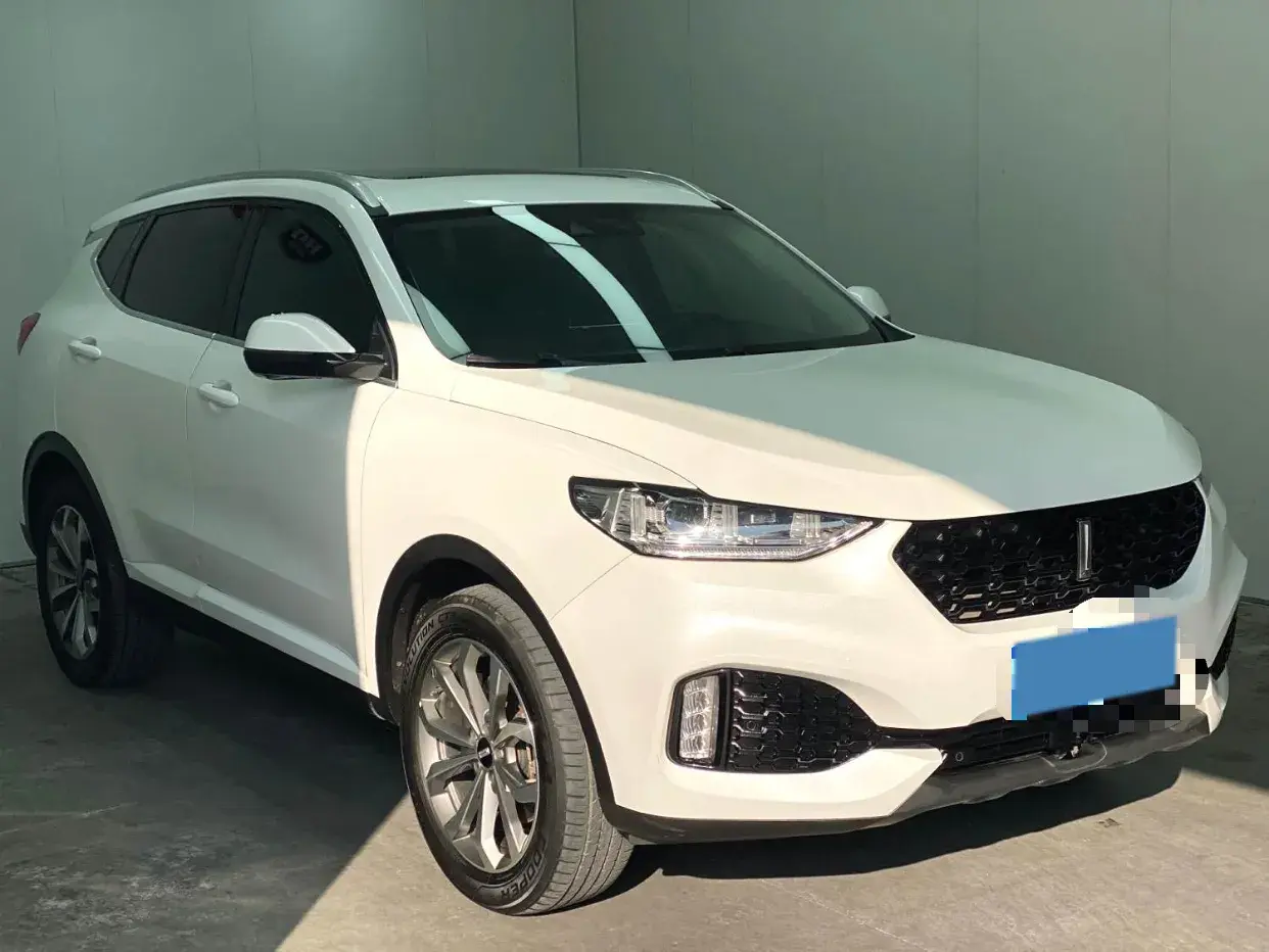 2019 WEY VV6 thumbnail 3