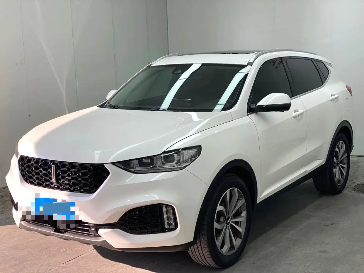 2019 WEY VV6 view 1