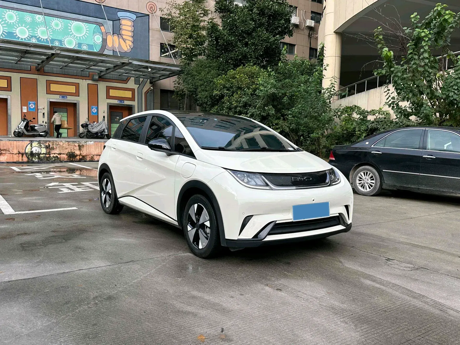 2023 BYD DOLPHIN thumbnail 2