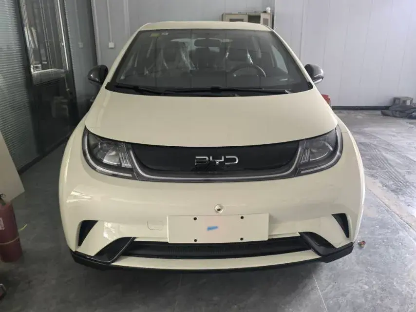 2025 BYD DOLPHIN thumbnail 2