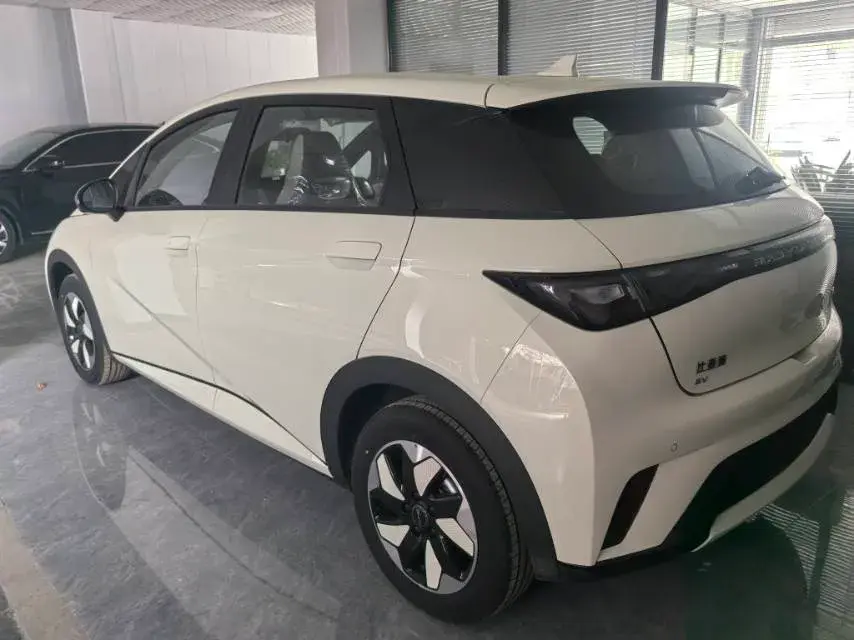 2025 BYD DOLPHIN thumbnail 4