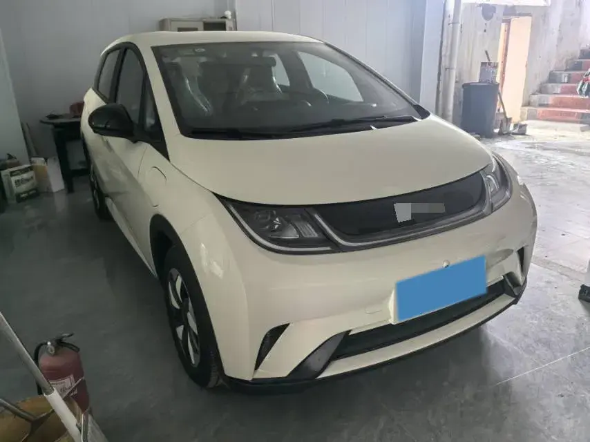 2025 BYD DOLPHIN thumbnail 3