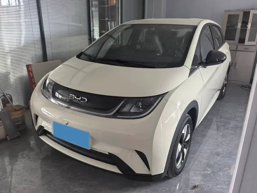 2025 BYD DOLPHIN view 1