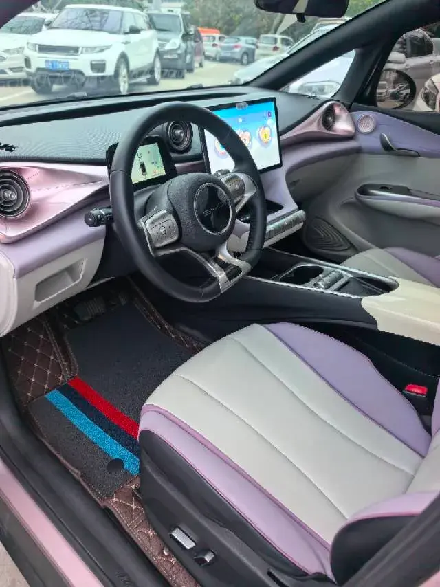 2021 BYD DOLPHIN thumbnail 4