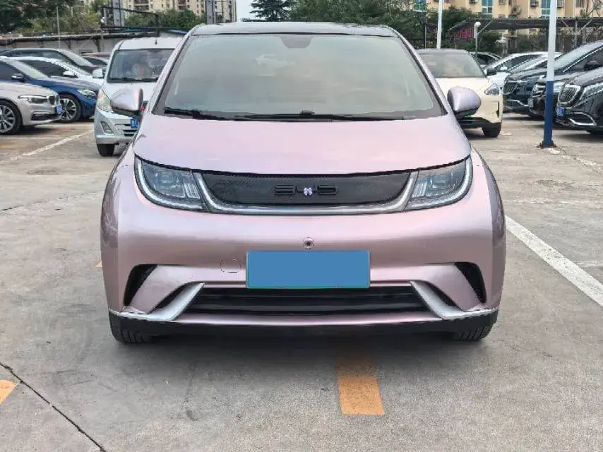 2021 BYD DOLPHIN thumbnail 2