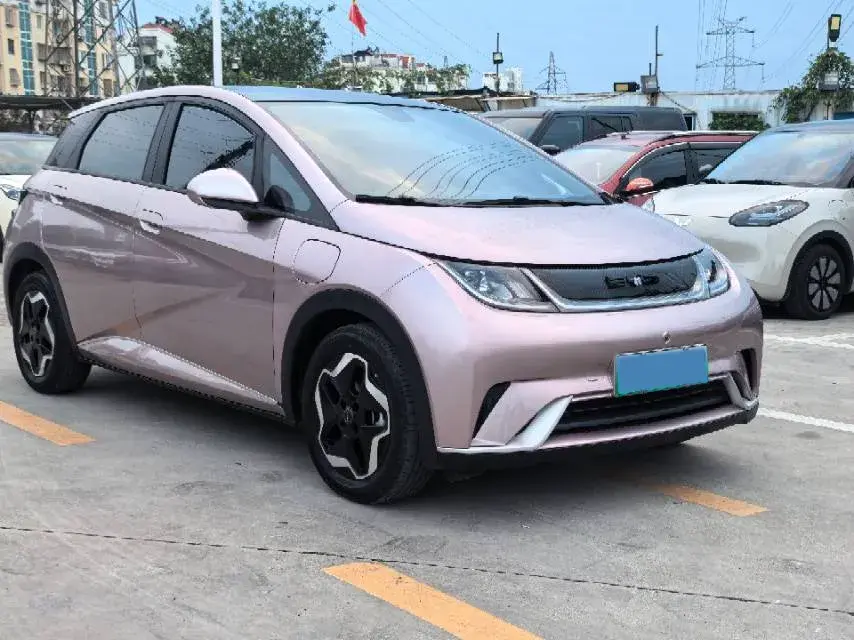 2021 BYD DOLPHIN thumbnail 3