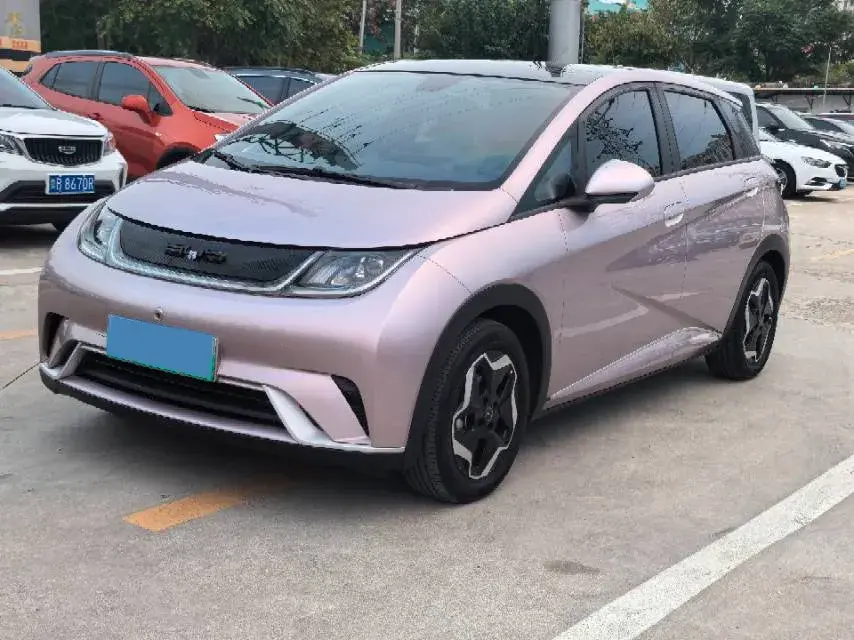 2021 BYD DOLPHIN view 1