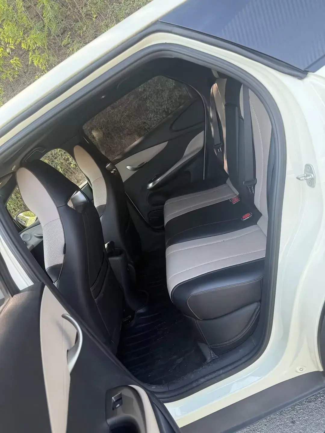 2023 BYD DOLPHIN thumbnail 4