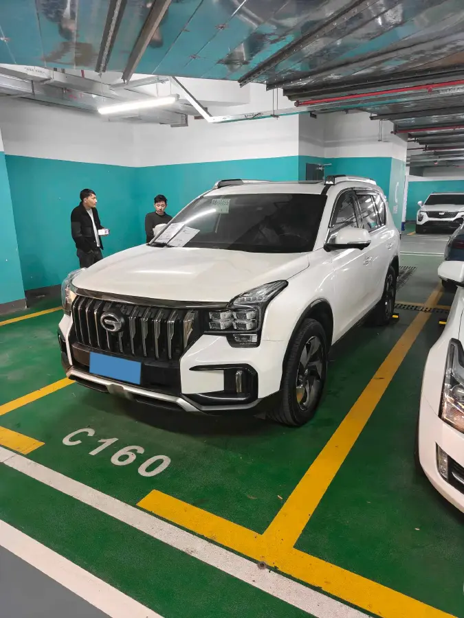 2020 GAC Trumpchi GS8 2.0T 252HP L4 6AT