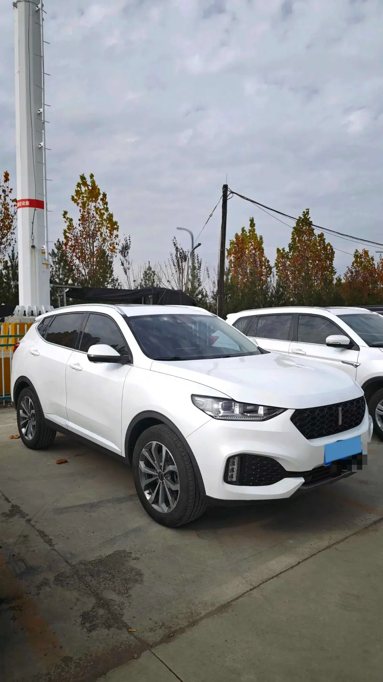 2018 WEY VV6 thumbnail 2