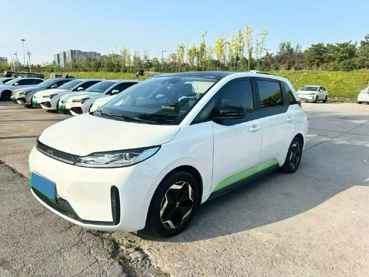 2021 BYD D1 BEV 53.6KWH