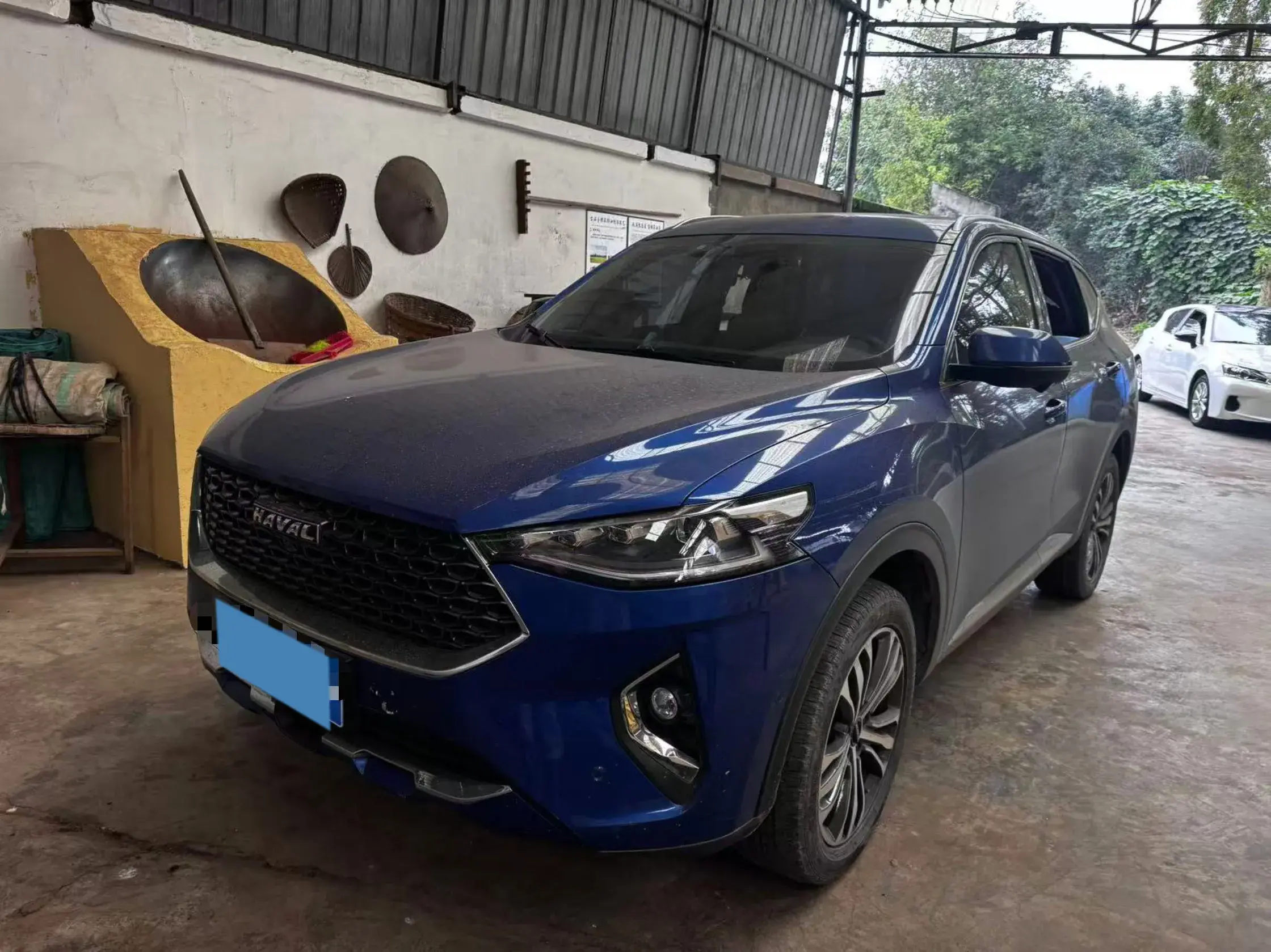 2019 HAVAL F7X view 1