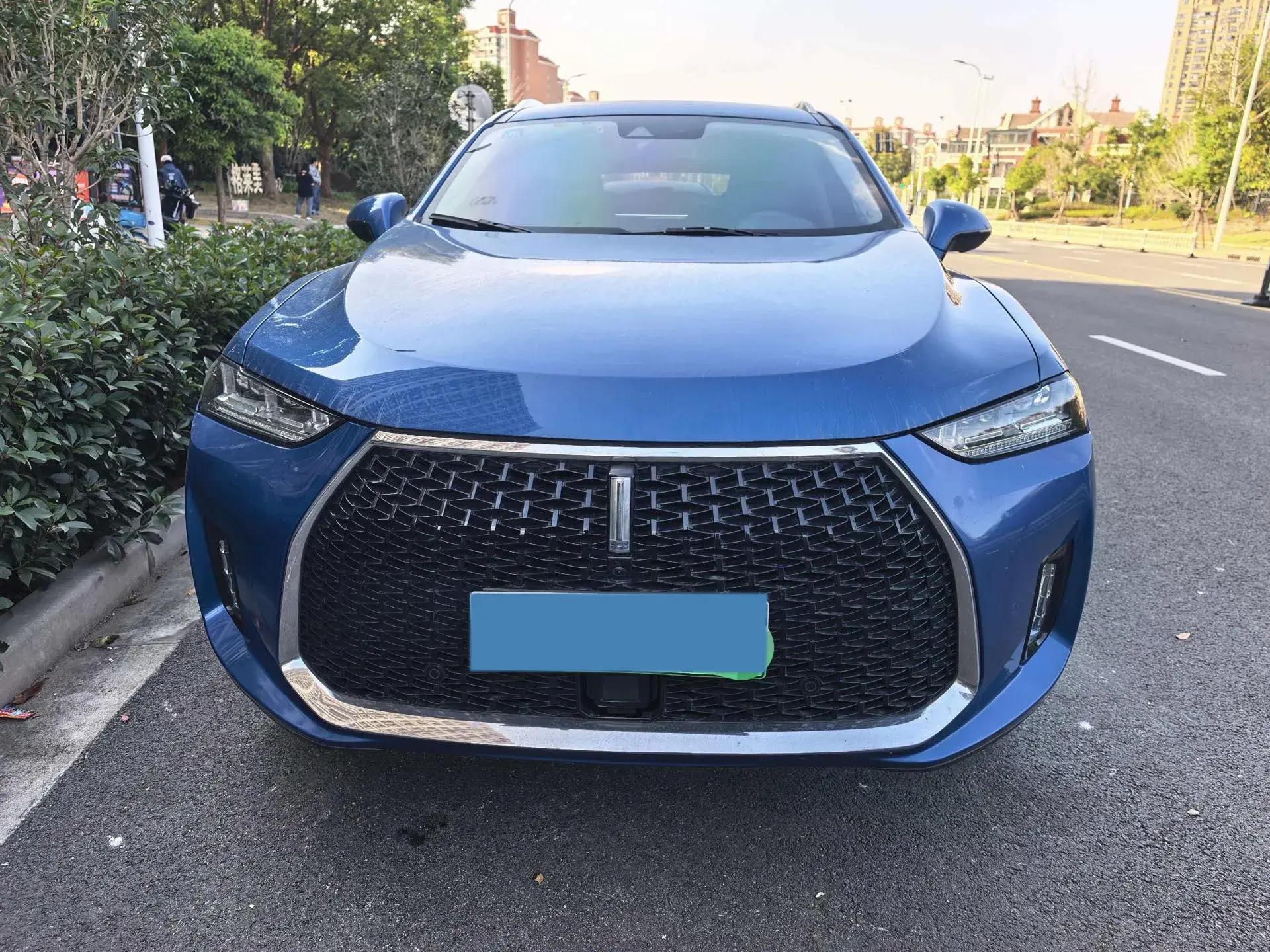 2018 WEY P8 thumbnail 2