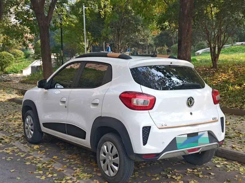 2021 DONGFENG NAMMI thumbnail 4