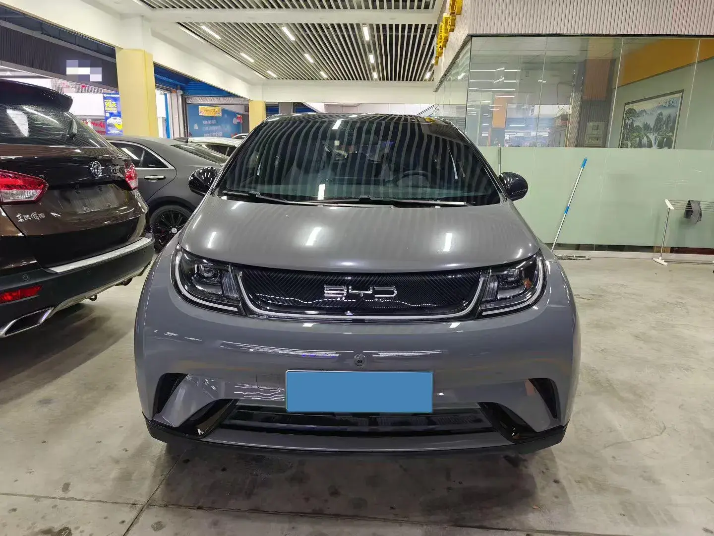 2024 BYD DOLPHIN thumbnail 2