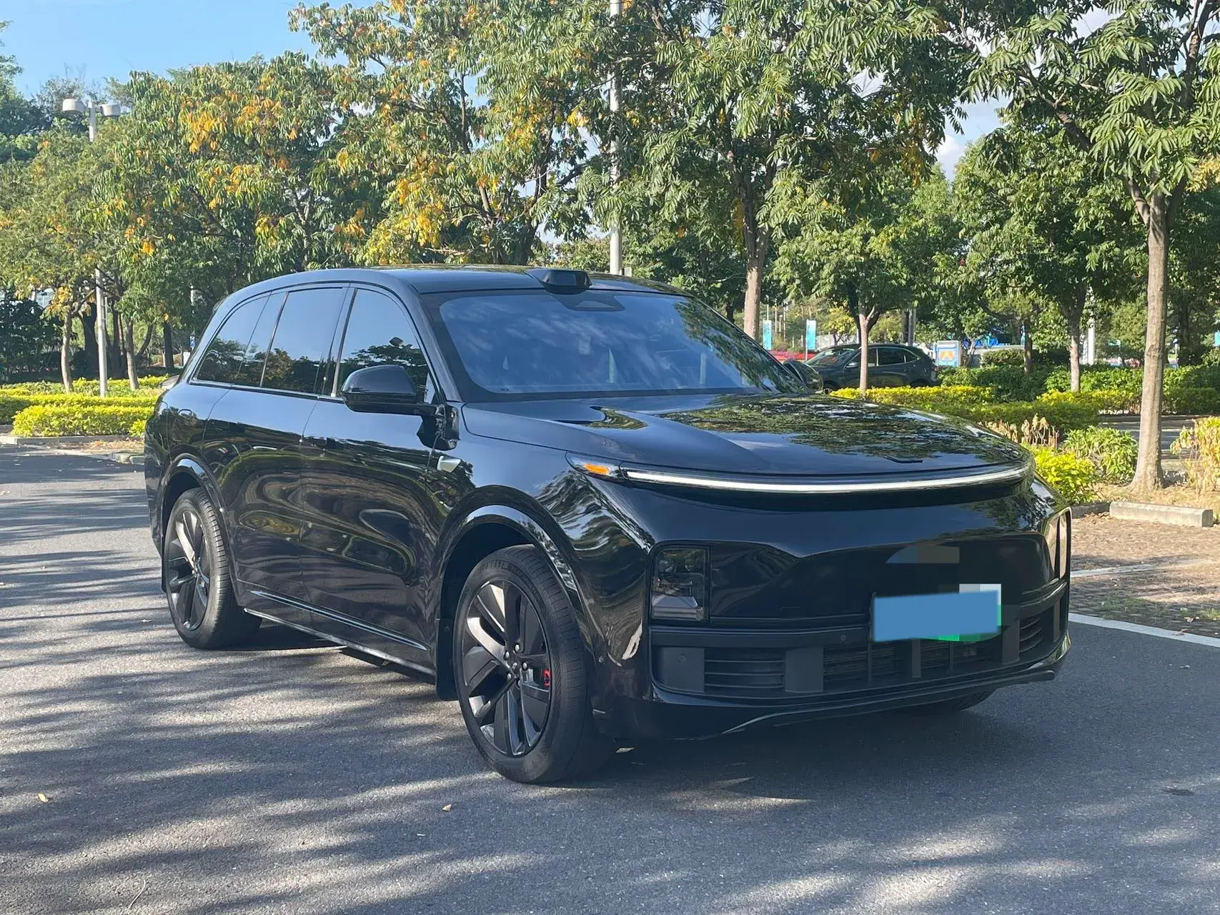 2023 LI L8 thumbnail 3