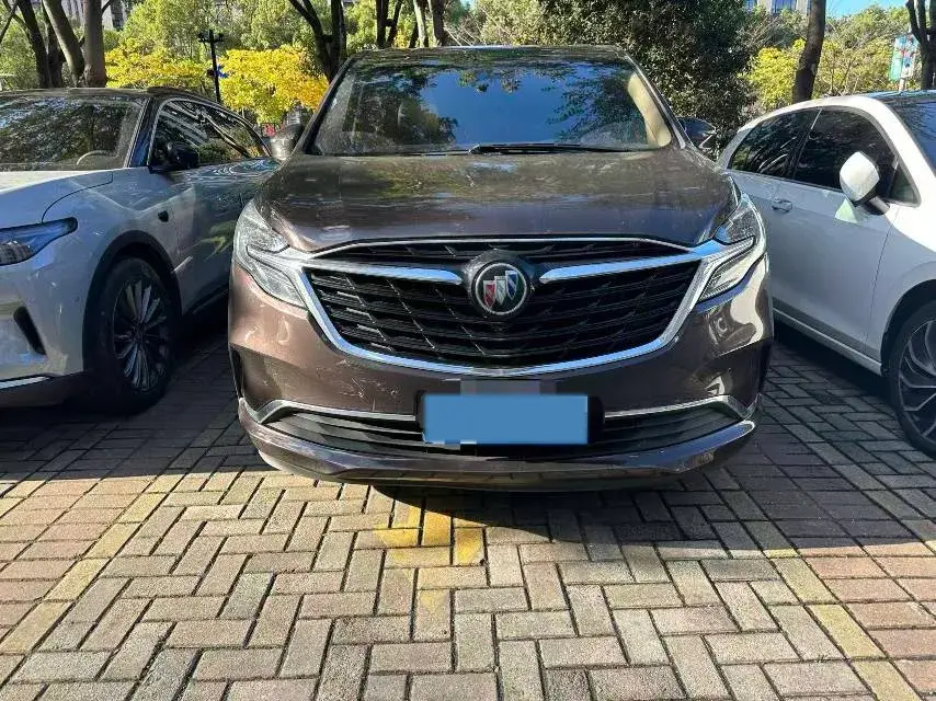 2020 BUICK GL8 thumbnail 2