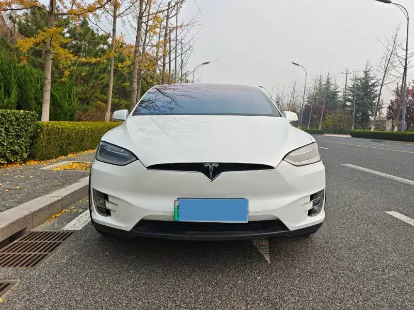 2019 TESLA MODEL thumbnail 4