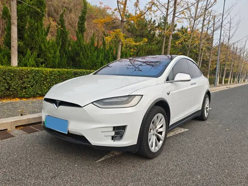 2019 Tesla Model X BEV 100KWH